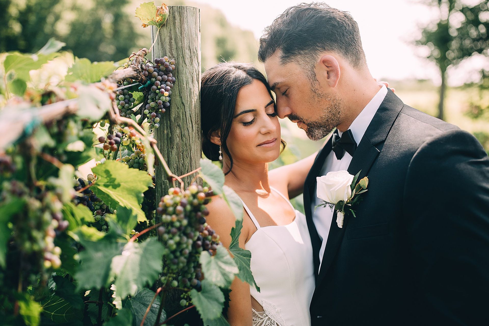 Couple embraces near grapevines; the bride wears a white dress and the groom a black suit.
