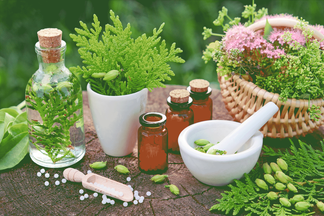 farmacia accorsi