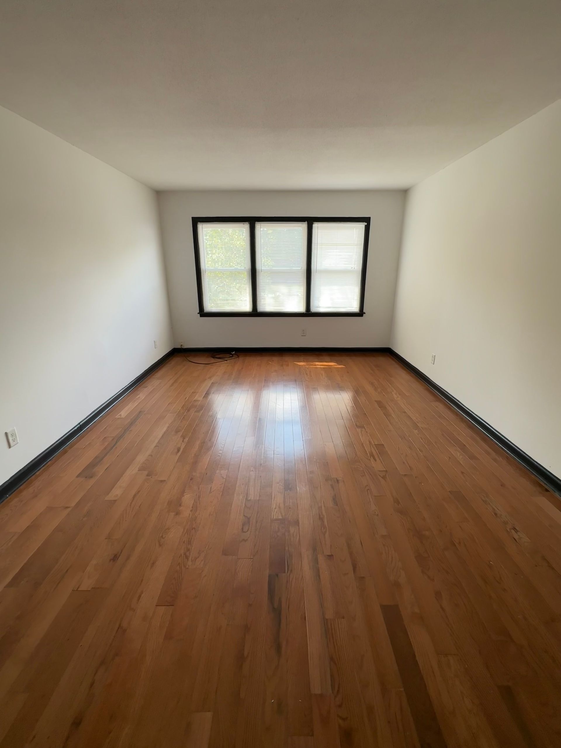 Home The Woods At Normaltown Apartments Athens, GA