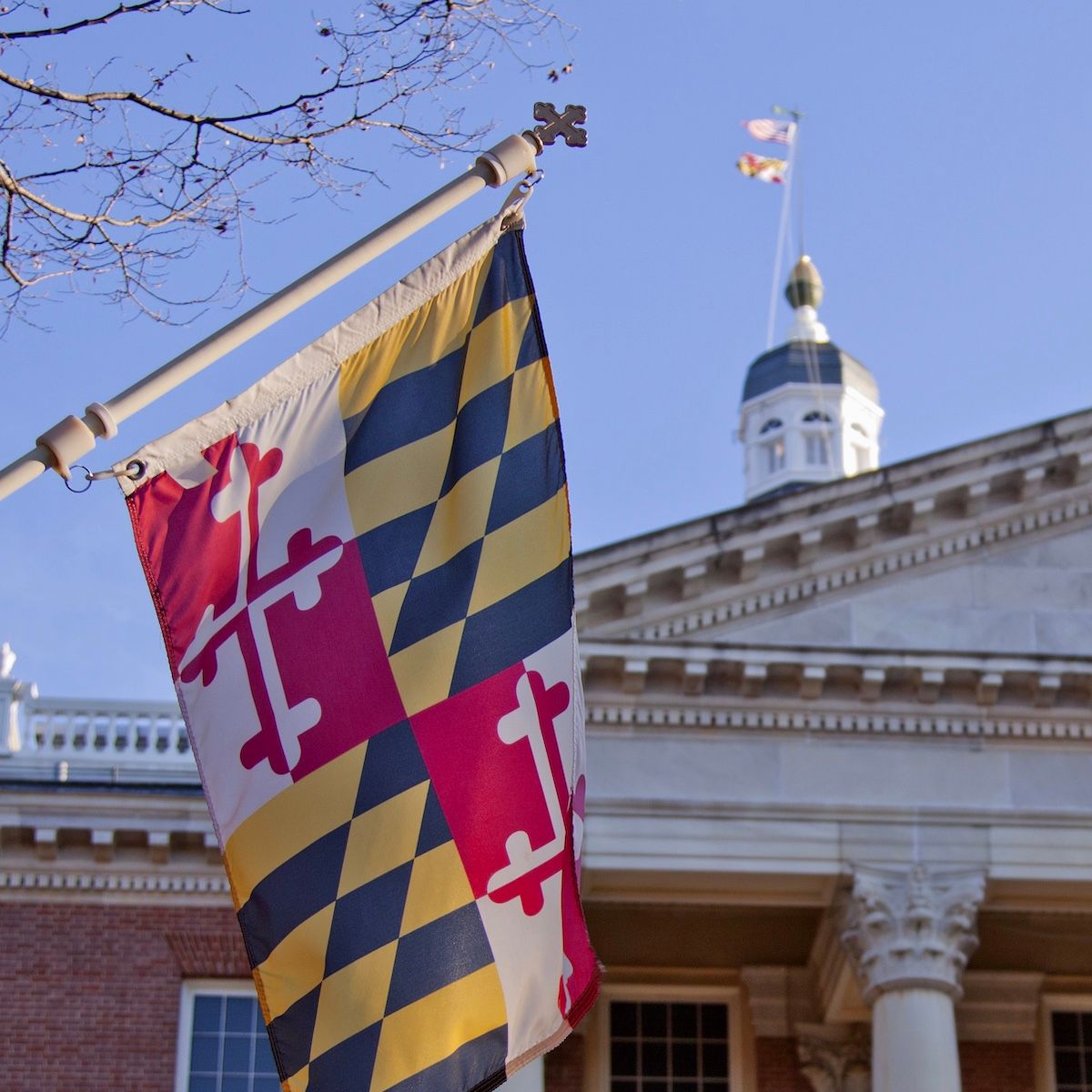 Maryland flag hanging from a lamp post in front of brick building