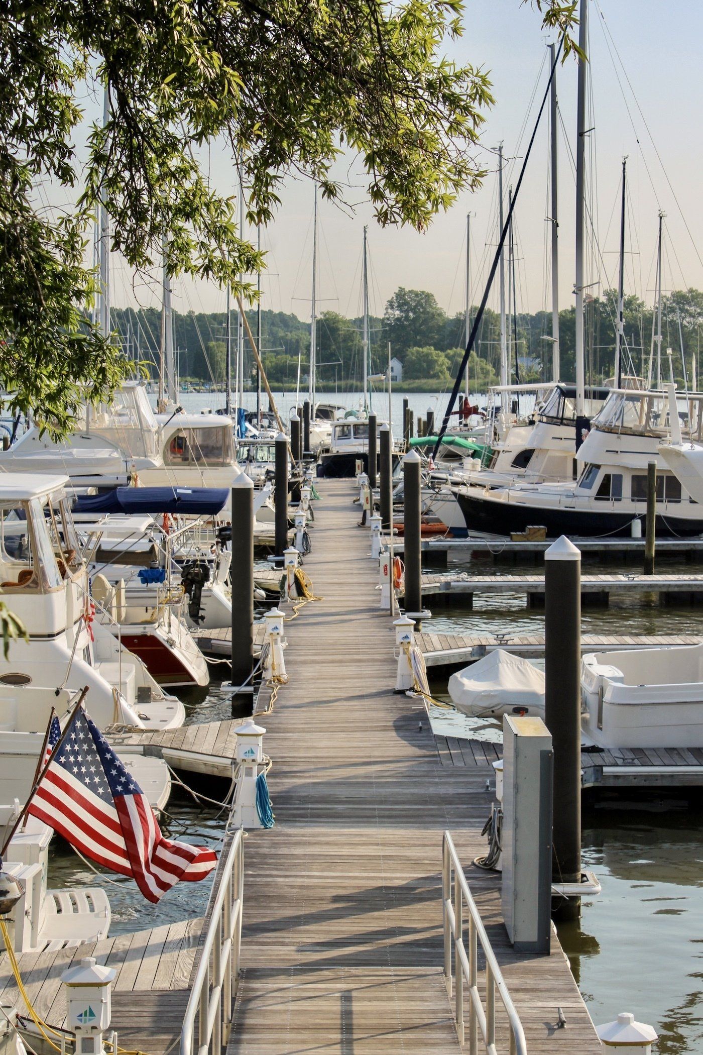 A pier on summer morning with boats and trees in background