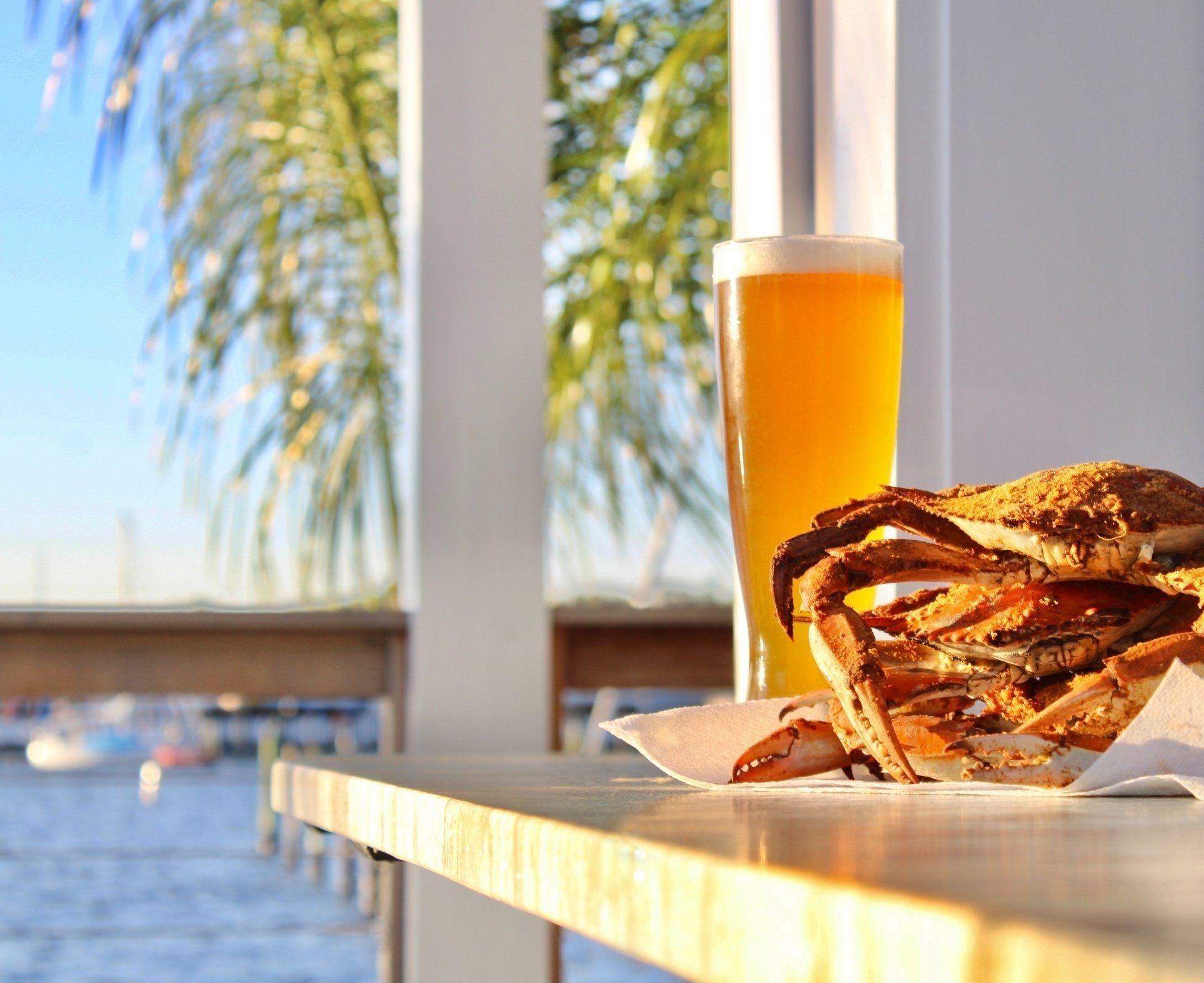 Beer and seafood on a counter at waterfront restaurant
