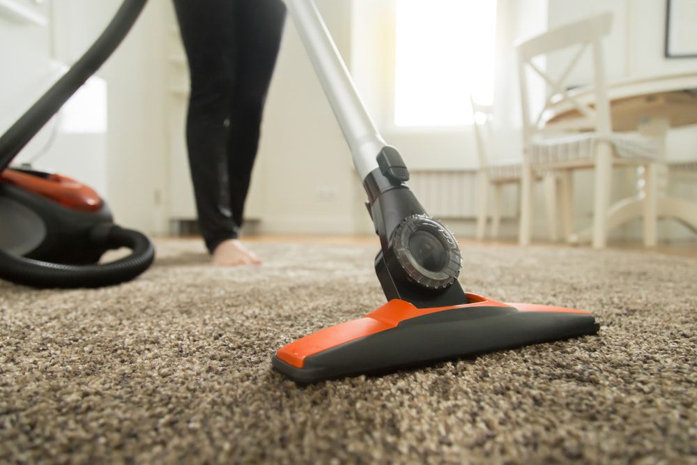 A Woman is Vacuuming a Carpet in a Living Room — Clean Right Carpet Cleaning In Port Macquarie, NSW