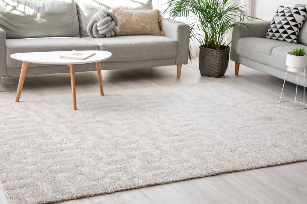 A Living Room With a Couch, Table, and Rug — Clean Right Carpet Cleaning In Port Macquarie, NSW