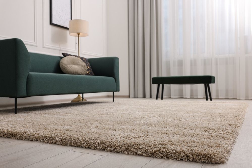 A Living Room With a Green Couch and a Rug — Clean Right Carpet Cleaning In Port Macquarie, NSW