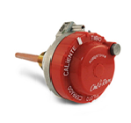 TERMOSTATO CALOREX PROTECT DEPOSITO ACTUAL