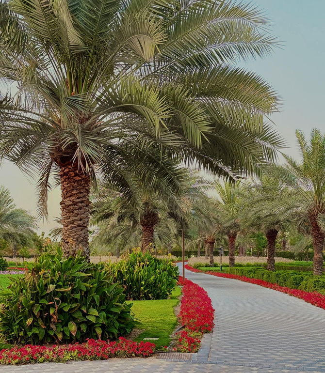 A winding stone path leads through a park lined with palm trees and vibrant red flower beds.