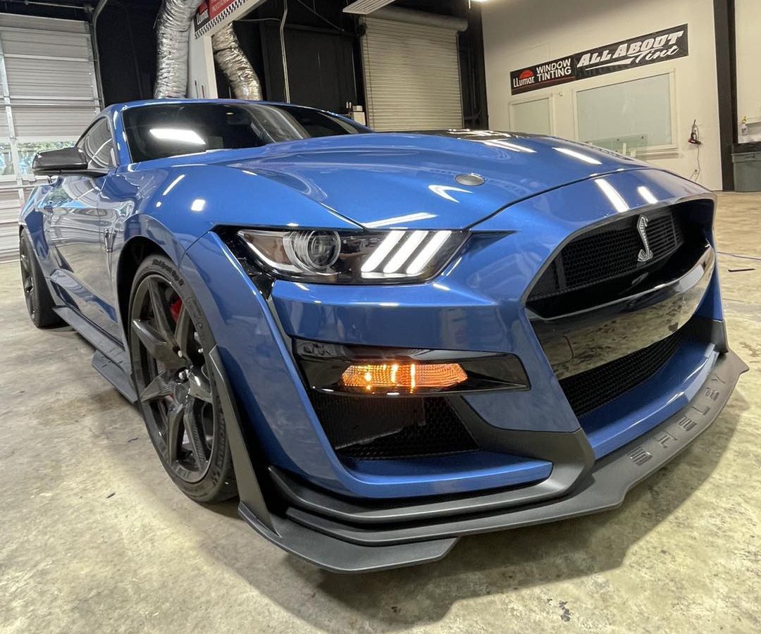 car window tinting St. Augustine FL