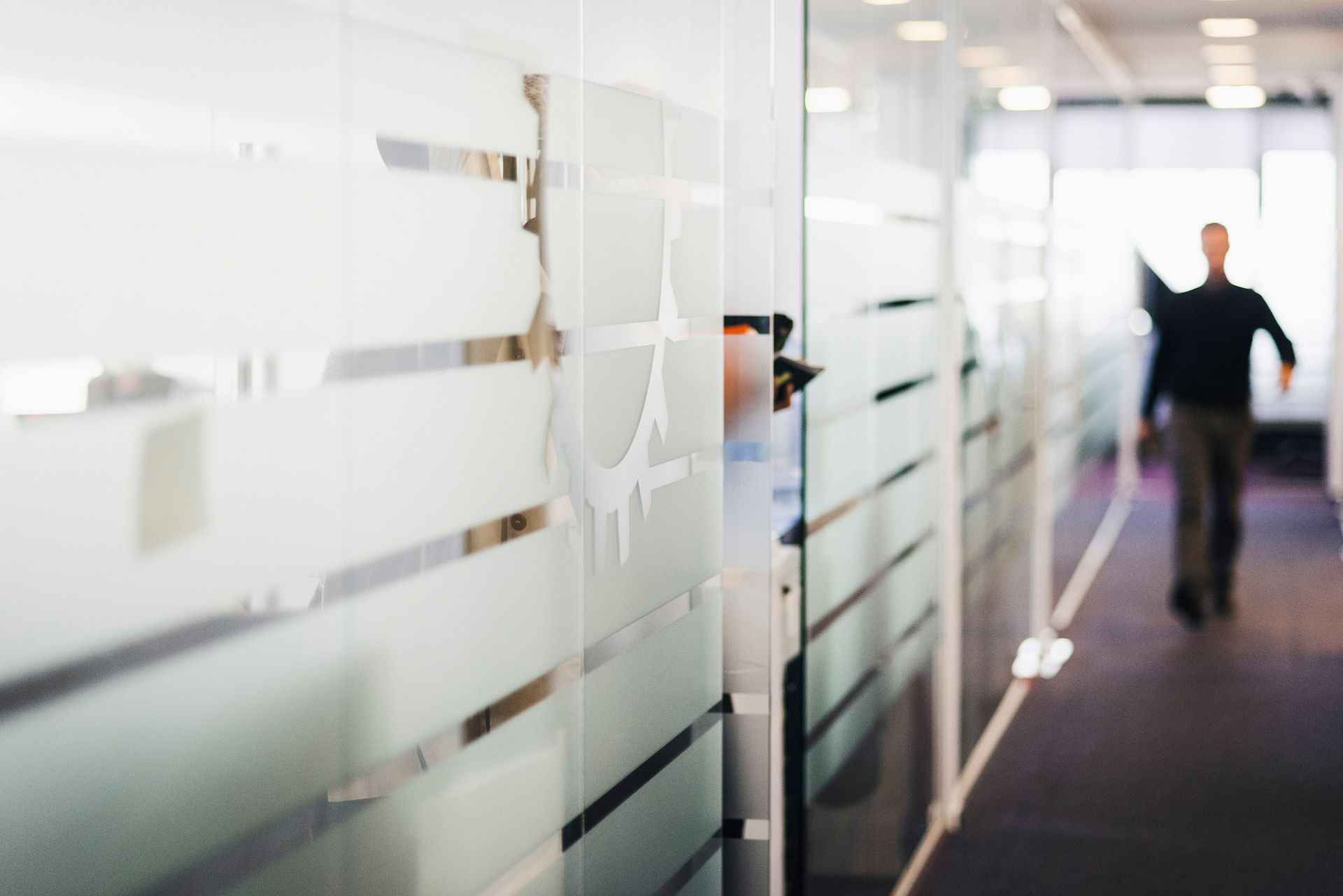 commercial privacy window film St. Augustine FL