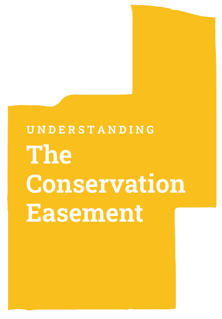 Vote YES On 2O Denver Ballot Measure