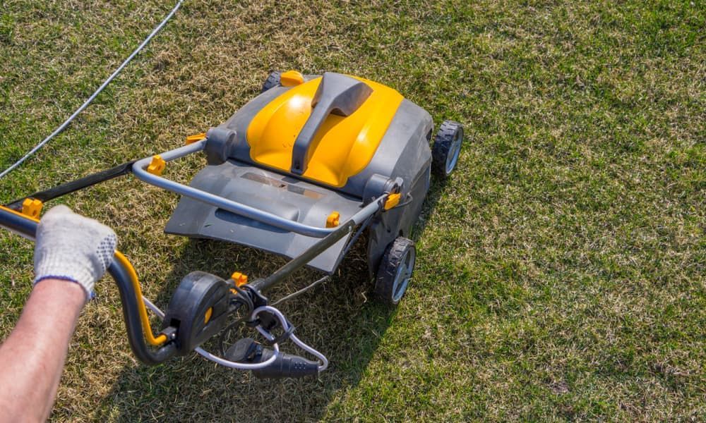 A Person is Using a Yellow and Gray Lawn Mower on a Lush Green Lawn — Land to Mow Garden Services Wagga In Wagga Wagga, NSW
