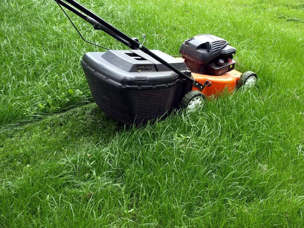 A Lawn Mower is Cutting a Lush Green Lawn — Land to Mow Garden Services Wagga In Wagga Wagga, NSW