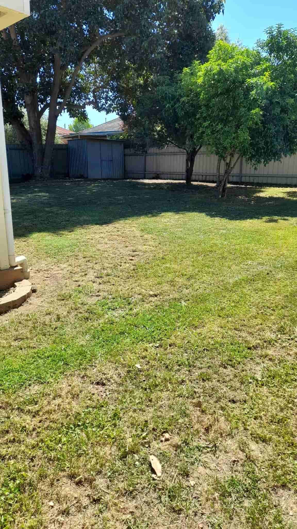 A Backyard With a Lot of Grass and Trees — Land to Mow Garden Services Wagga In Wagga Wagga, NSW