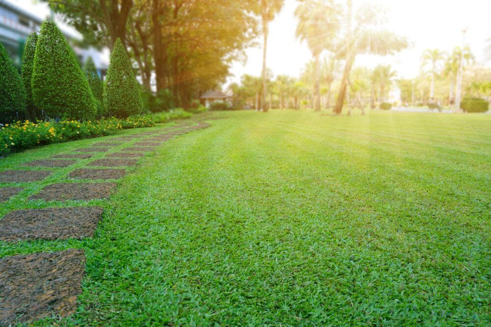A Lush Green Lawn With a Path Leading to It in a Park — Land to Mow Garden Services Wagga In Junee, NSW