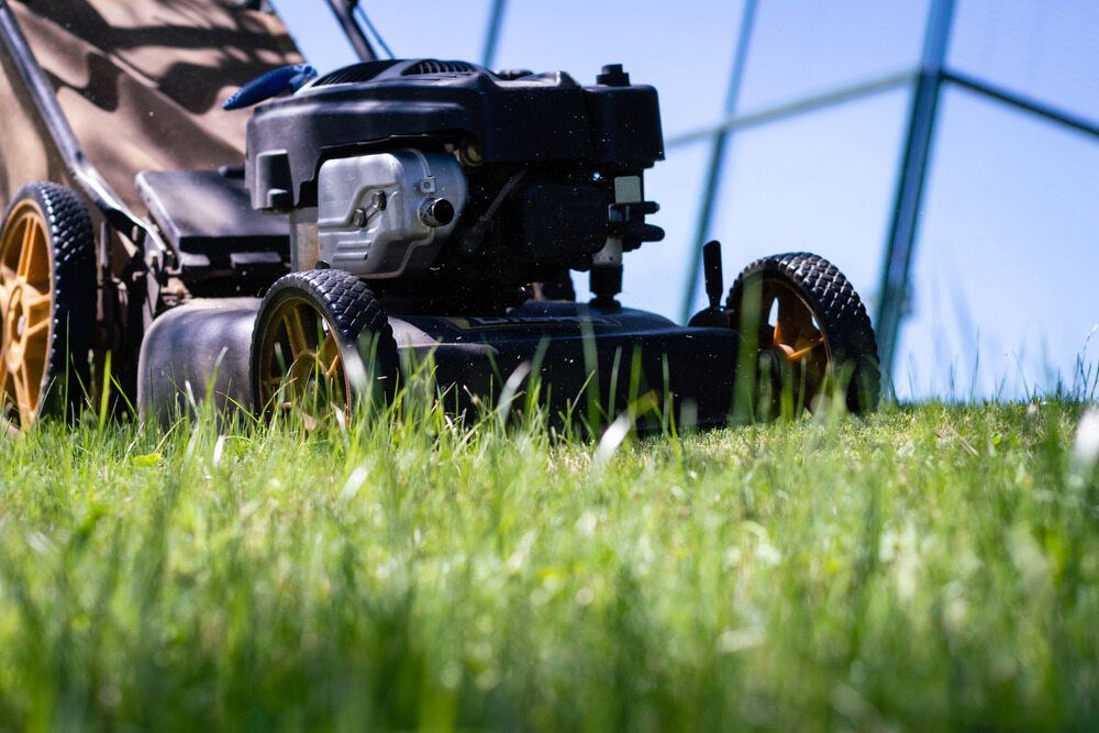 A Lawn Mower is Sitting on Top of a Lush Green Lawn — Land to Mow Garden Services Wagga In Junee, NSW