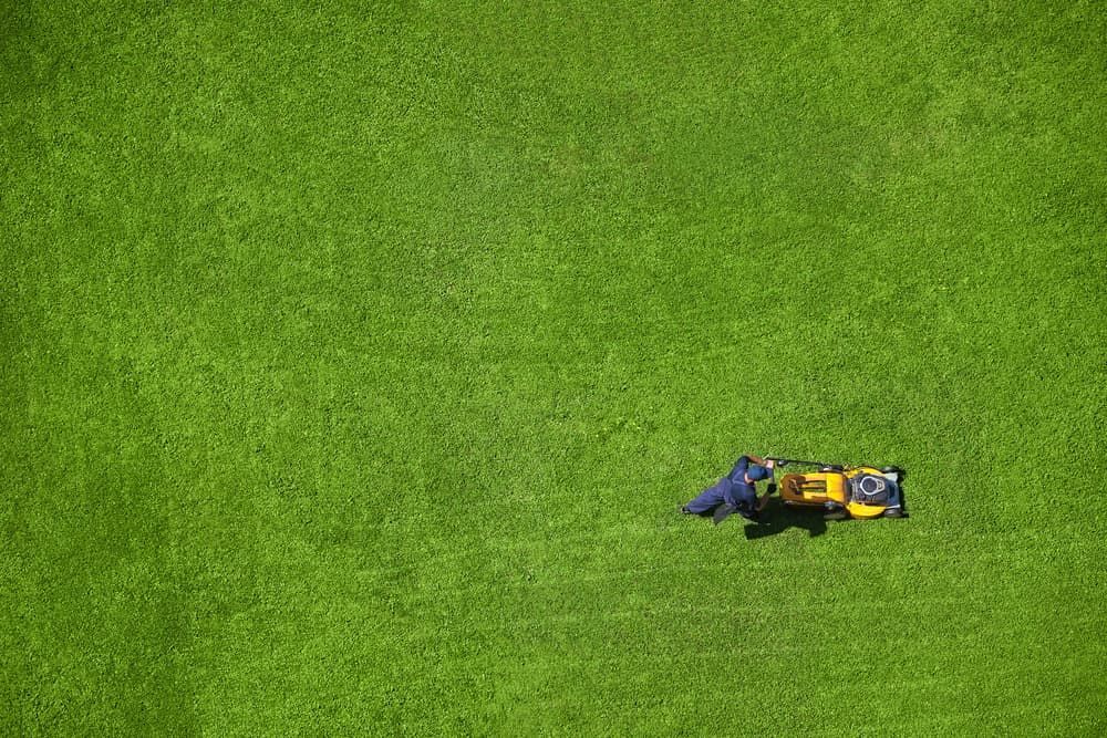 A Man is Working on the Suspension of a Car in a Garage — Land to Mow Garden Services Wagga In Wagga Wagga, NSW