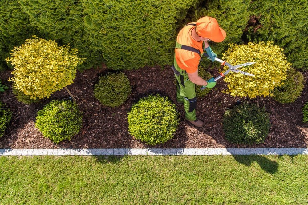 An Aerial View of a Man Trimming Bushes in a Garden — Land to Mow Garden Services Wagga In Wagga Wagga, NSW