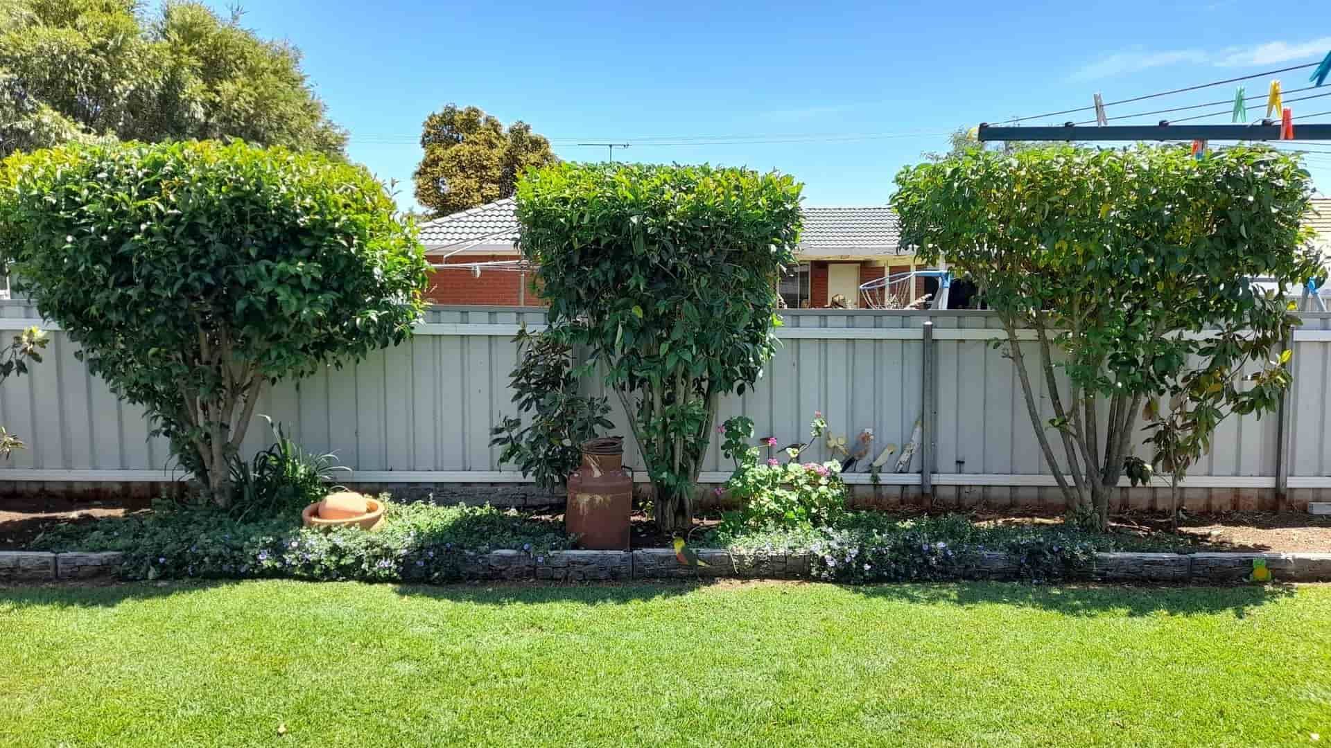 A Backyard With a White Fence and Trees in Front of It — Land to Mow Garden Services Wagga In Wagga Wagga, NSW