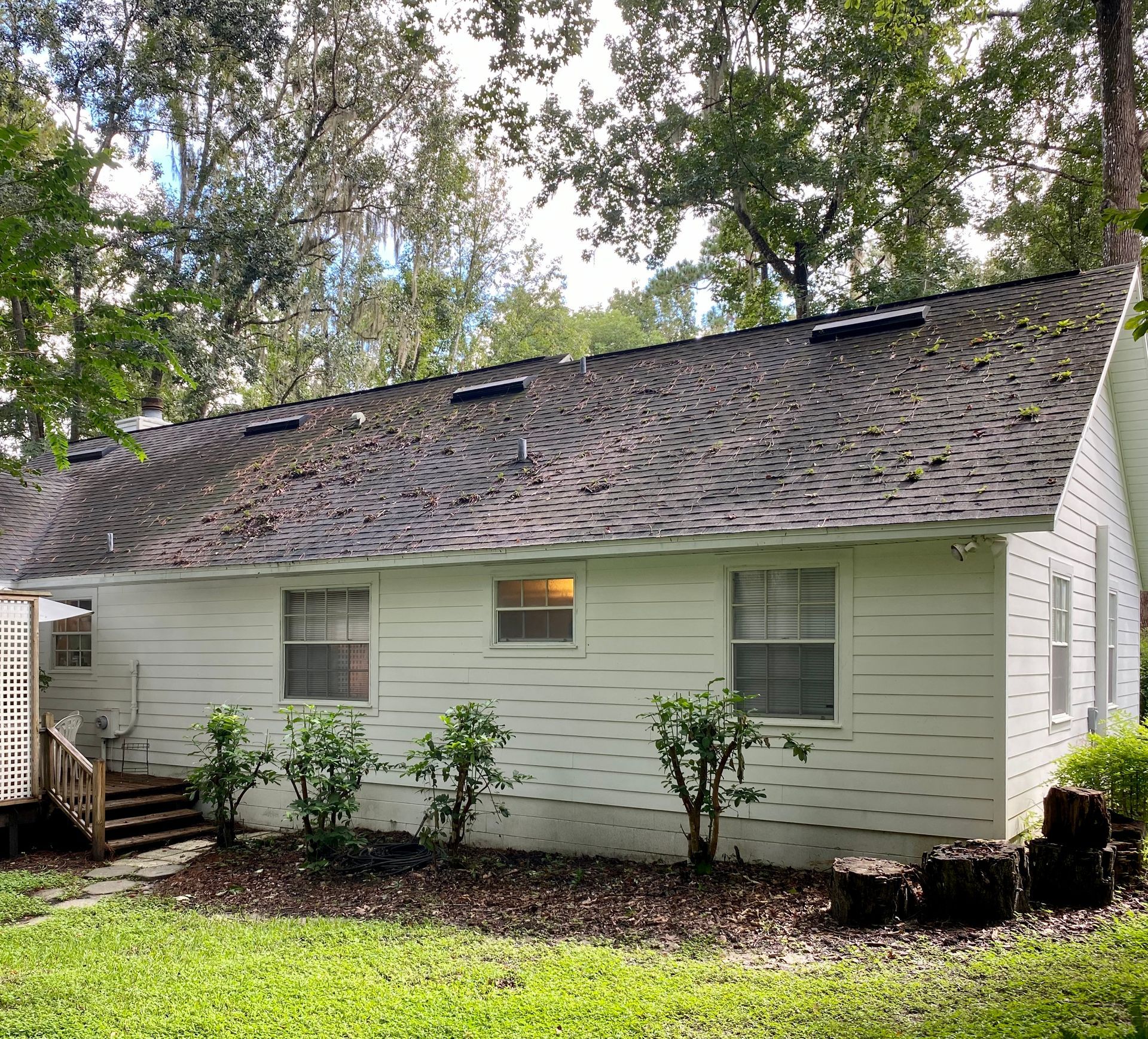 Before Pressure washing | Spring Hill, FL
