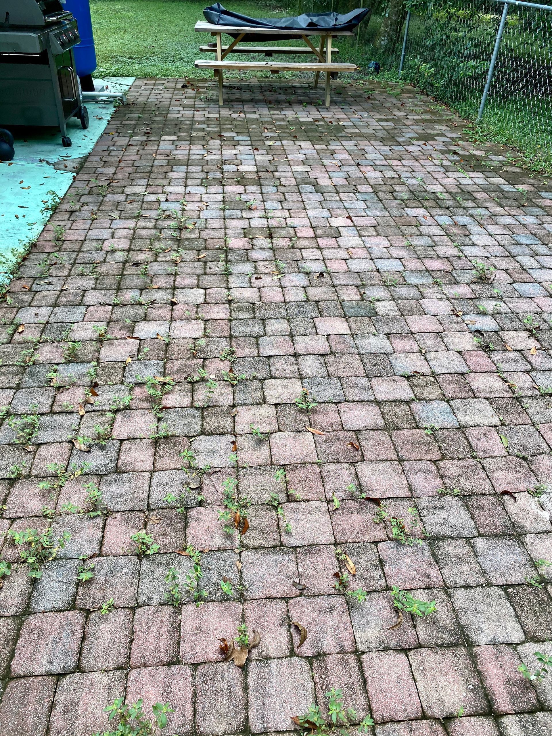 Before Pressure washing | Spring Hill, FL
