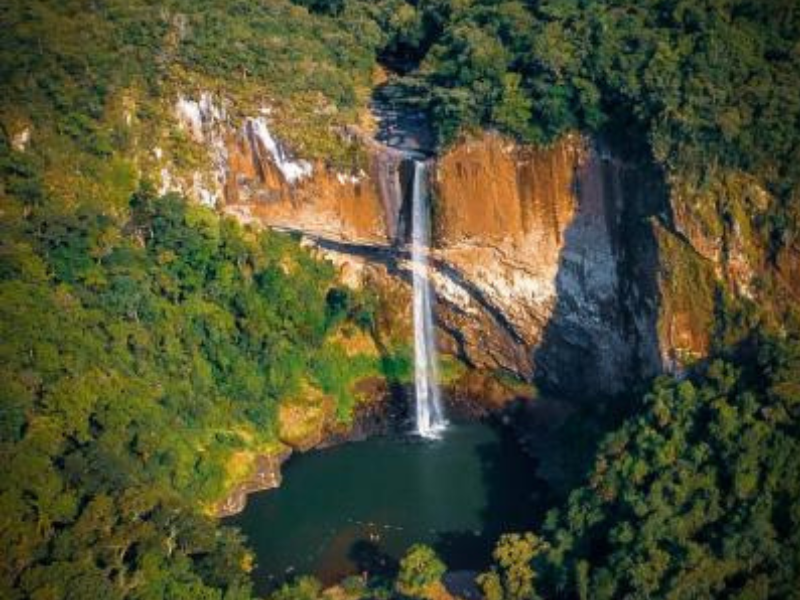 Cachoeira que deságua em uma piscina verde-escura, cercada por uma exuberante floresta verde e penhascos rochosos.