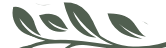 Desenho de folhas e galhos verdes sobre fundo branco.