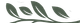 Desenho de folhas e galhos verdes sobre fundo branco.