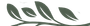 Desenho de folhas e galhos verdes sobre fundo branco.