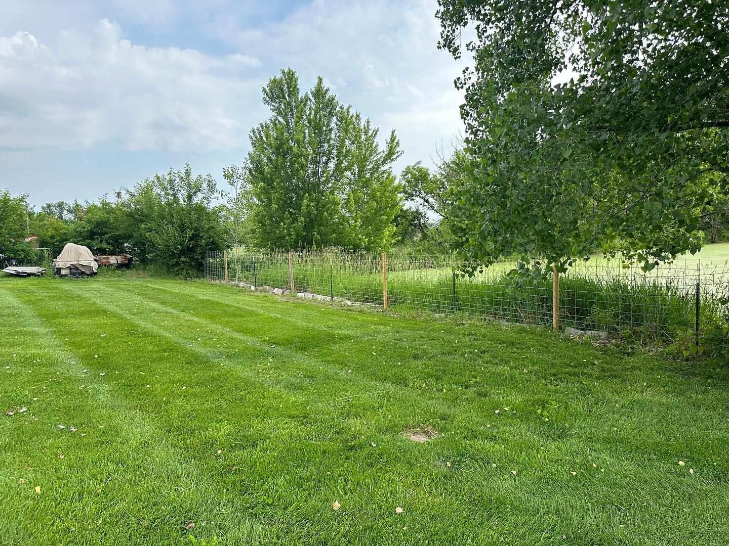 Lush green lawn with freshly mowed stripes. Trees and shrubs frame the scene under a cloudy sky.