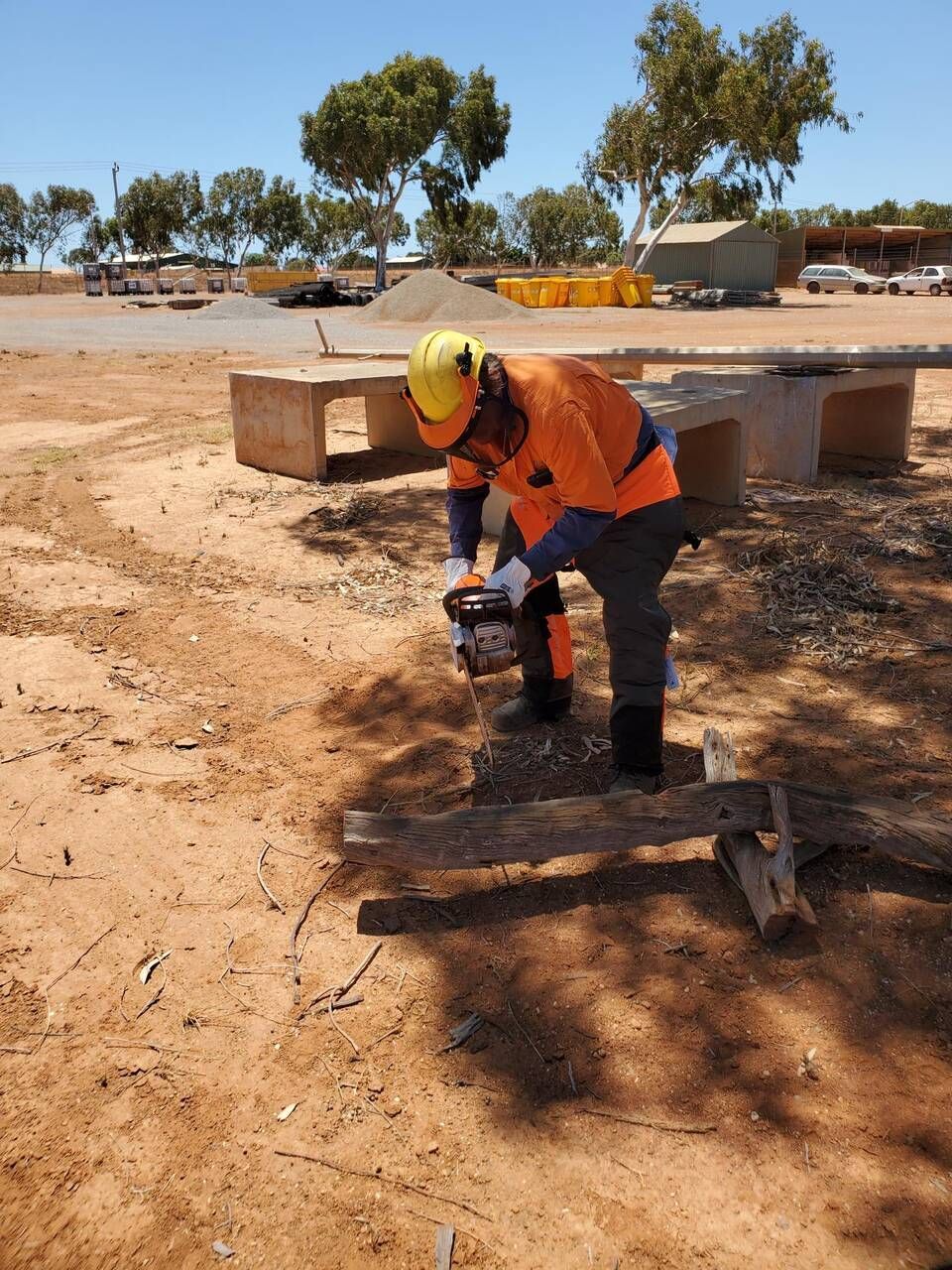 a man cutting the tree wearing the safety kit