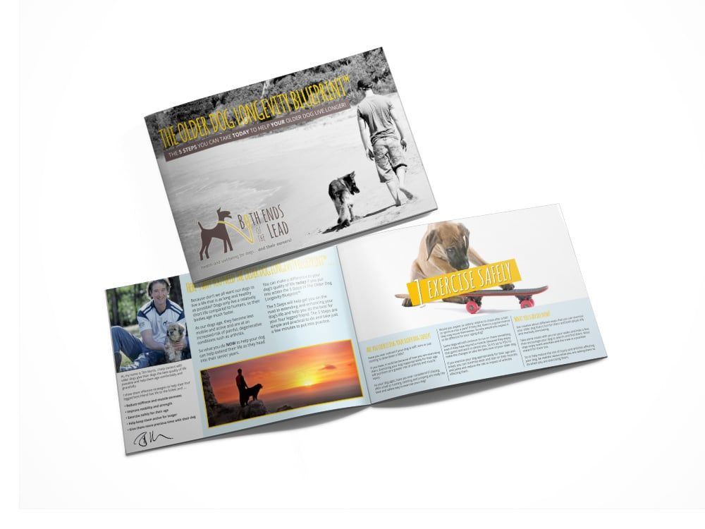 a book is open to a page with a dog on a skateboard .