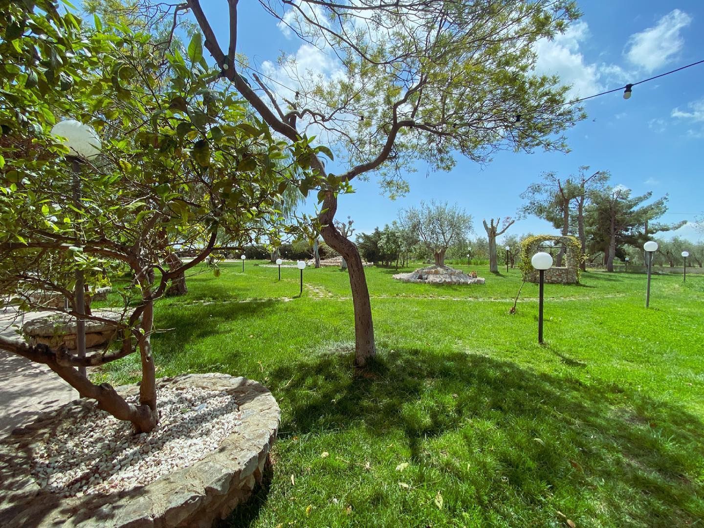 Parco soleggiato con prato verde, alberi e lampioni che offrono ombra nelle giornate limpide.