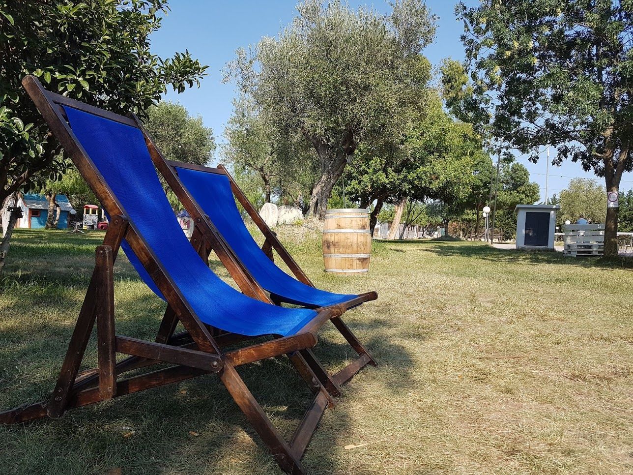 Due sdraio blu sull'erba in un parco soleggiato con alberi e una fioriera a forma di botte.