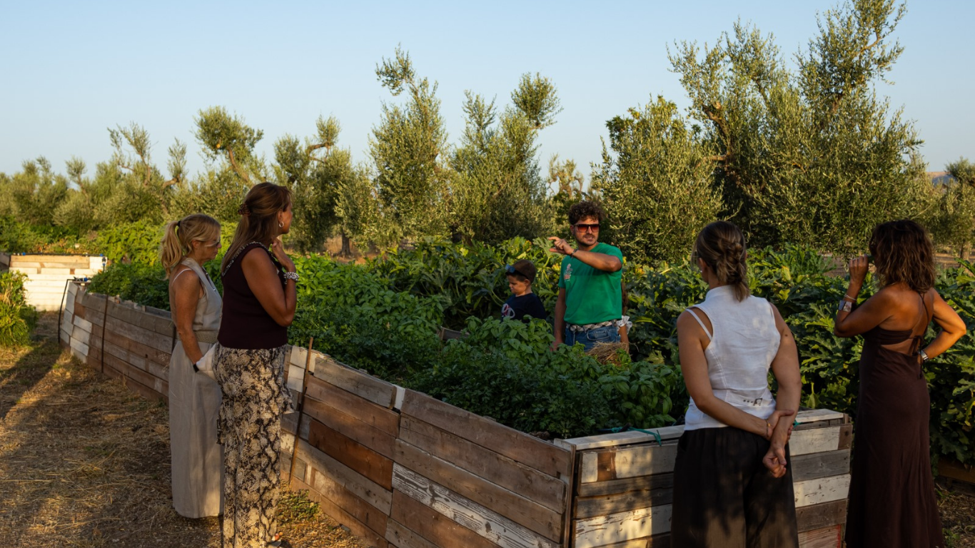 In un soleggiato giardino all'aperto, le persone si sono riunite attorno a aiuole rialzate, chiacchierando e ammirando le piante.