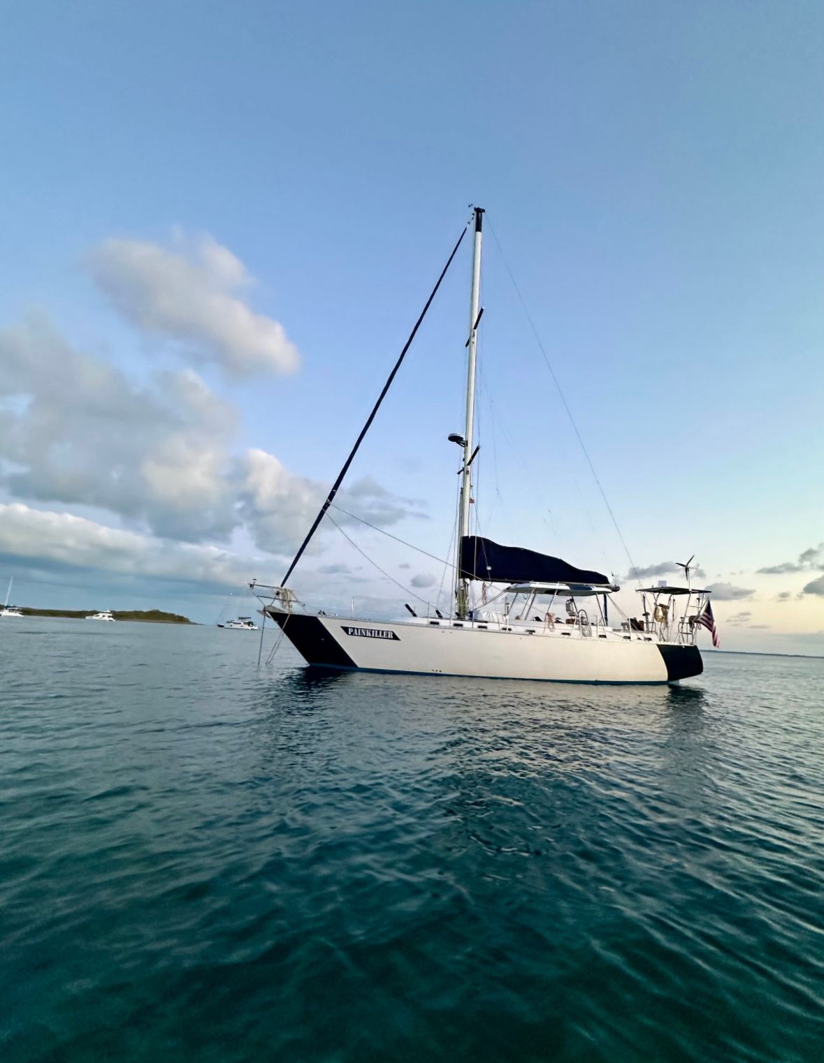 White sailboat on calm blue water under a pale sky, with a dark canopy and distant shoreline.