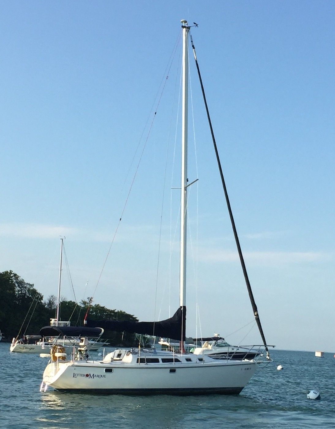 White sailboat on calm blue water with tall mast and sails lowered near a wooded shoreline