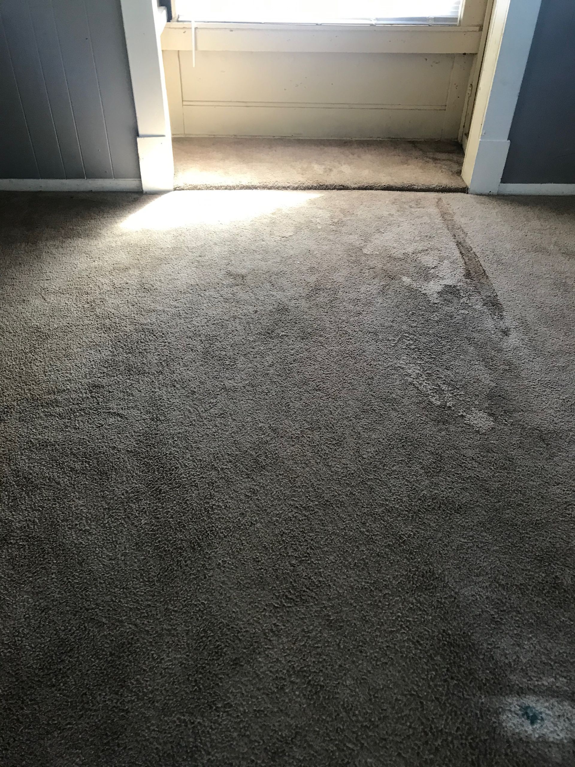 A room with a carpeted floor and a window.
