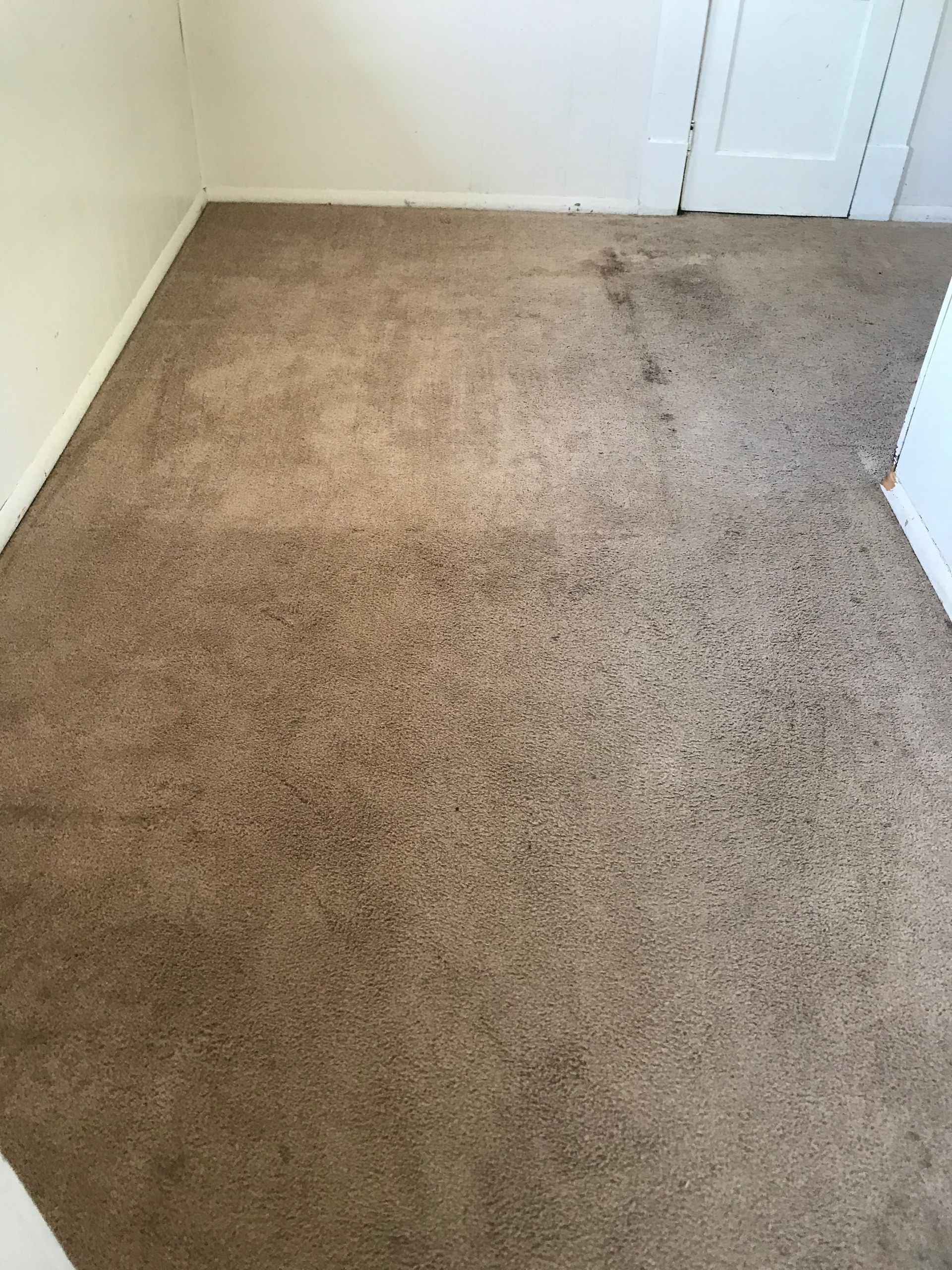 A room with a brown carpet and white walls.