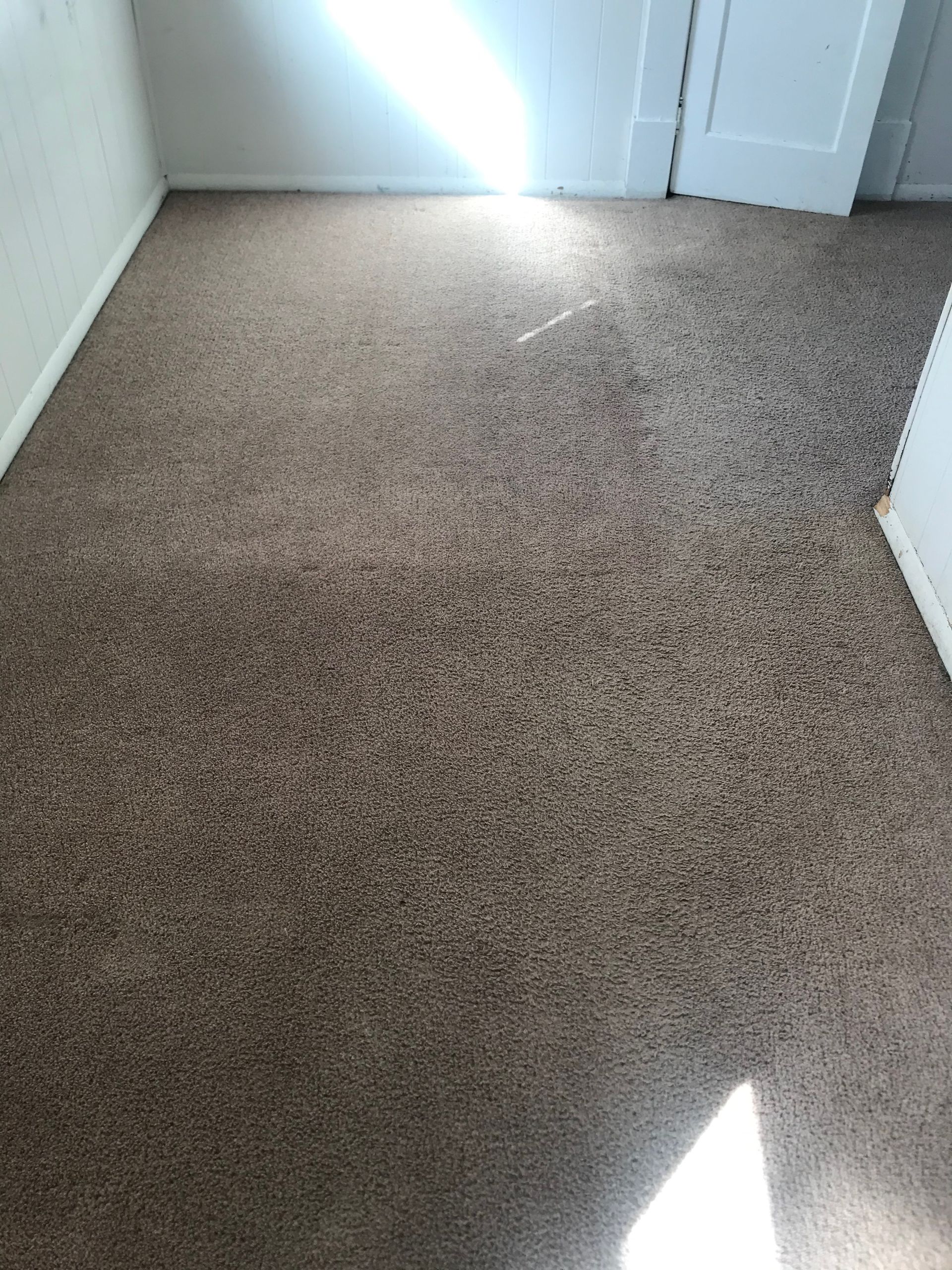 A room with a brown carpet and a white door.