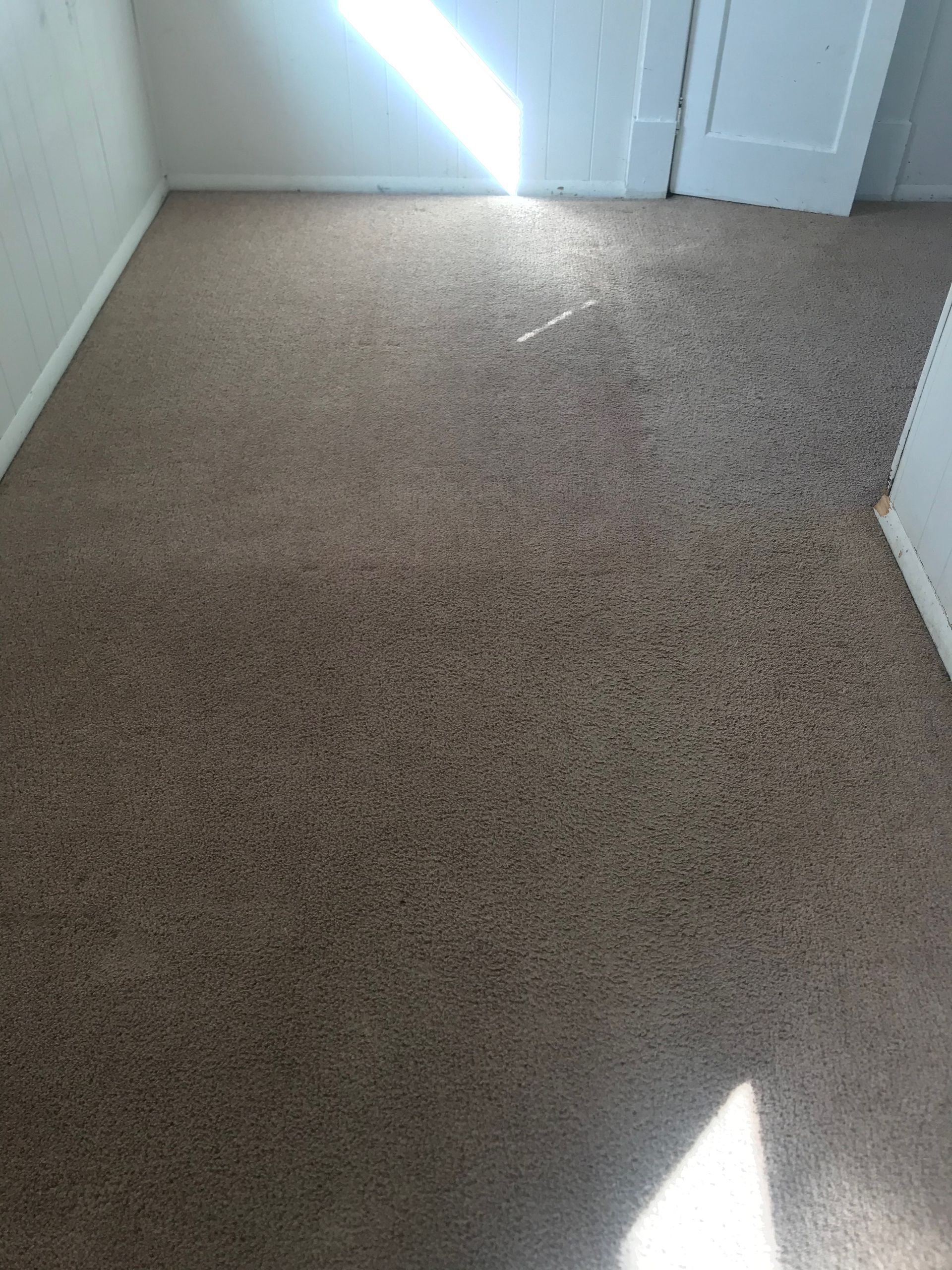 A room with a carpeted floor and a white door.