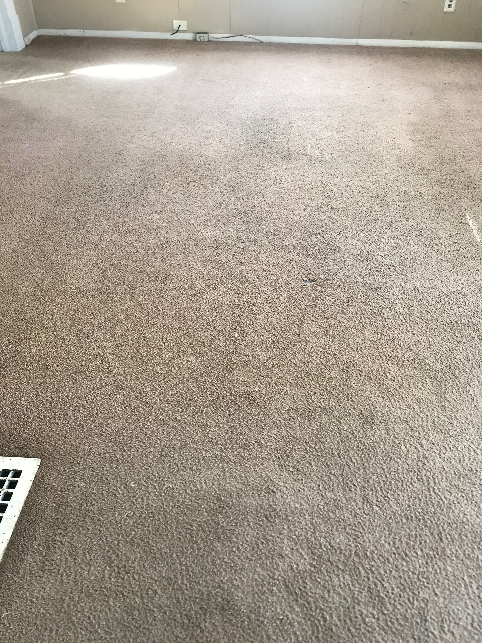 A large carpeted floor in a living room with a laptop on it.