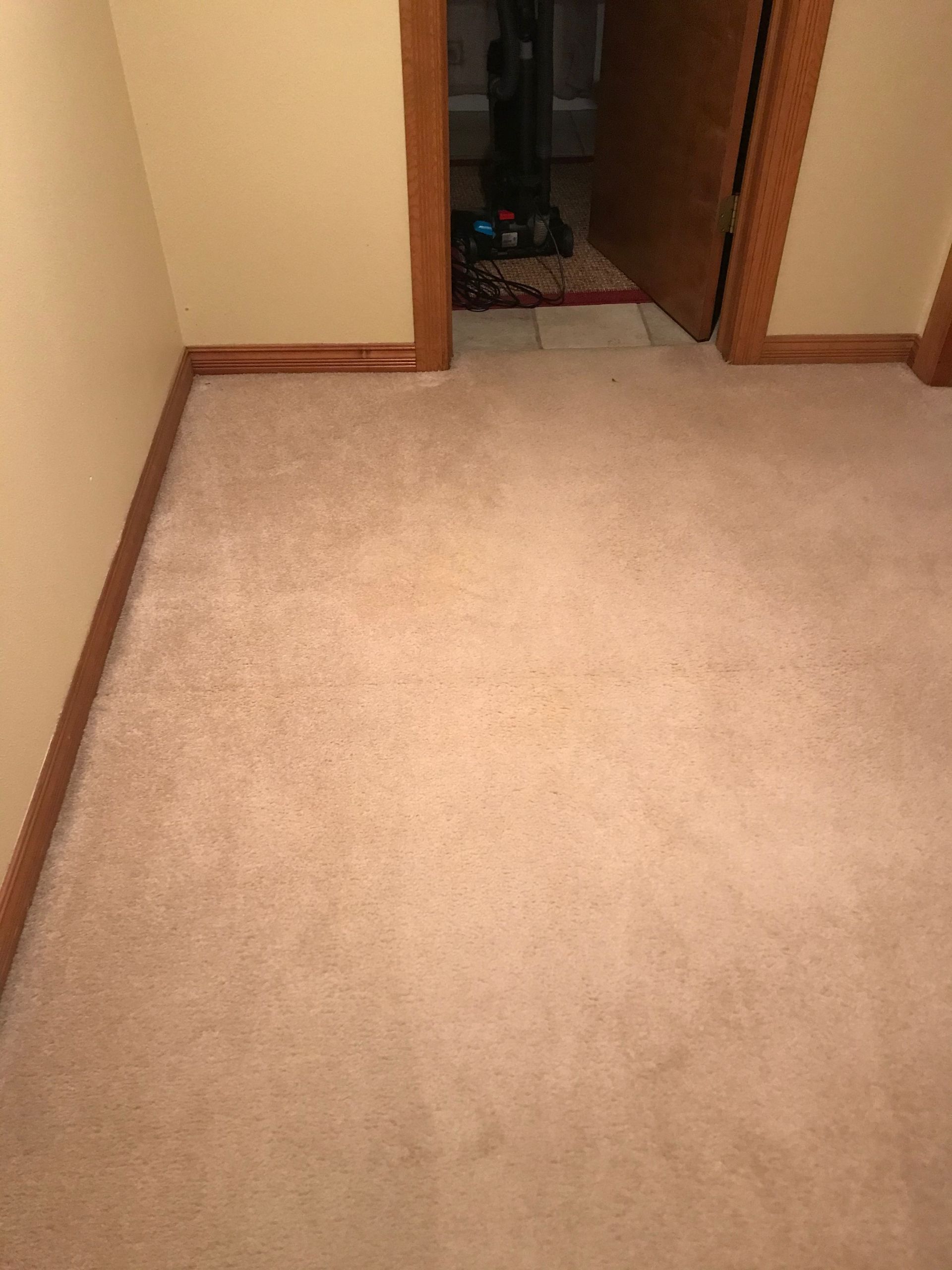 A vacuum cleaner is sitting on the floor of a room next to a door.