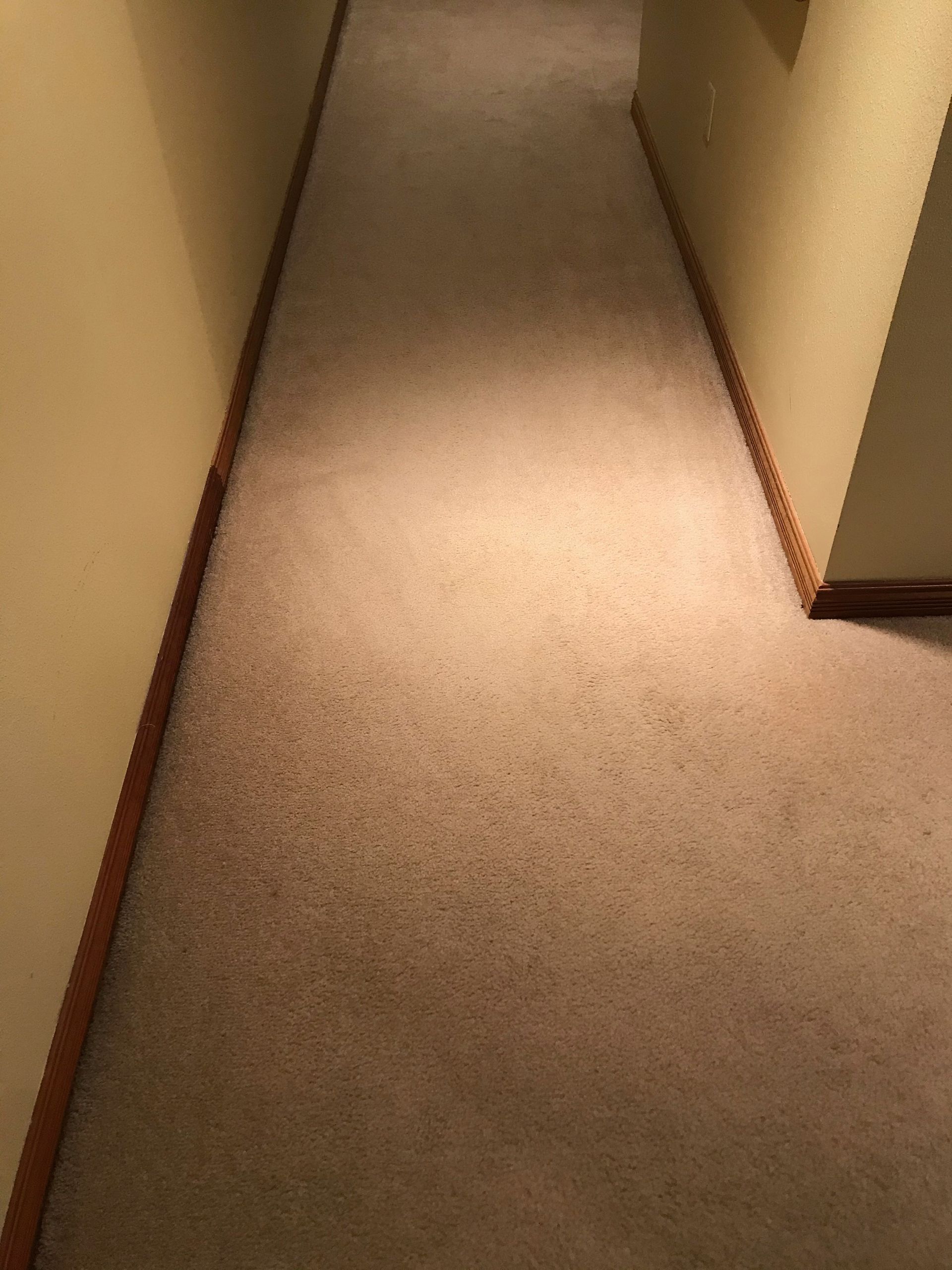 A hallway with a carpeted floor and a wooden trim