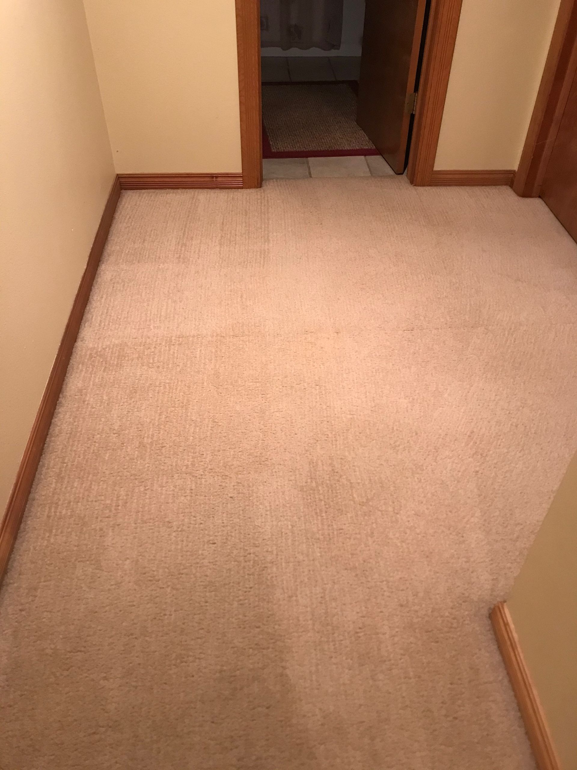 A room with a carpeted floor and a door leading to a bathroom.
