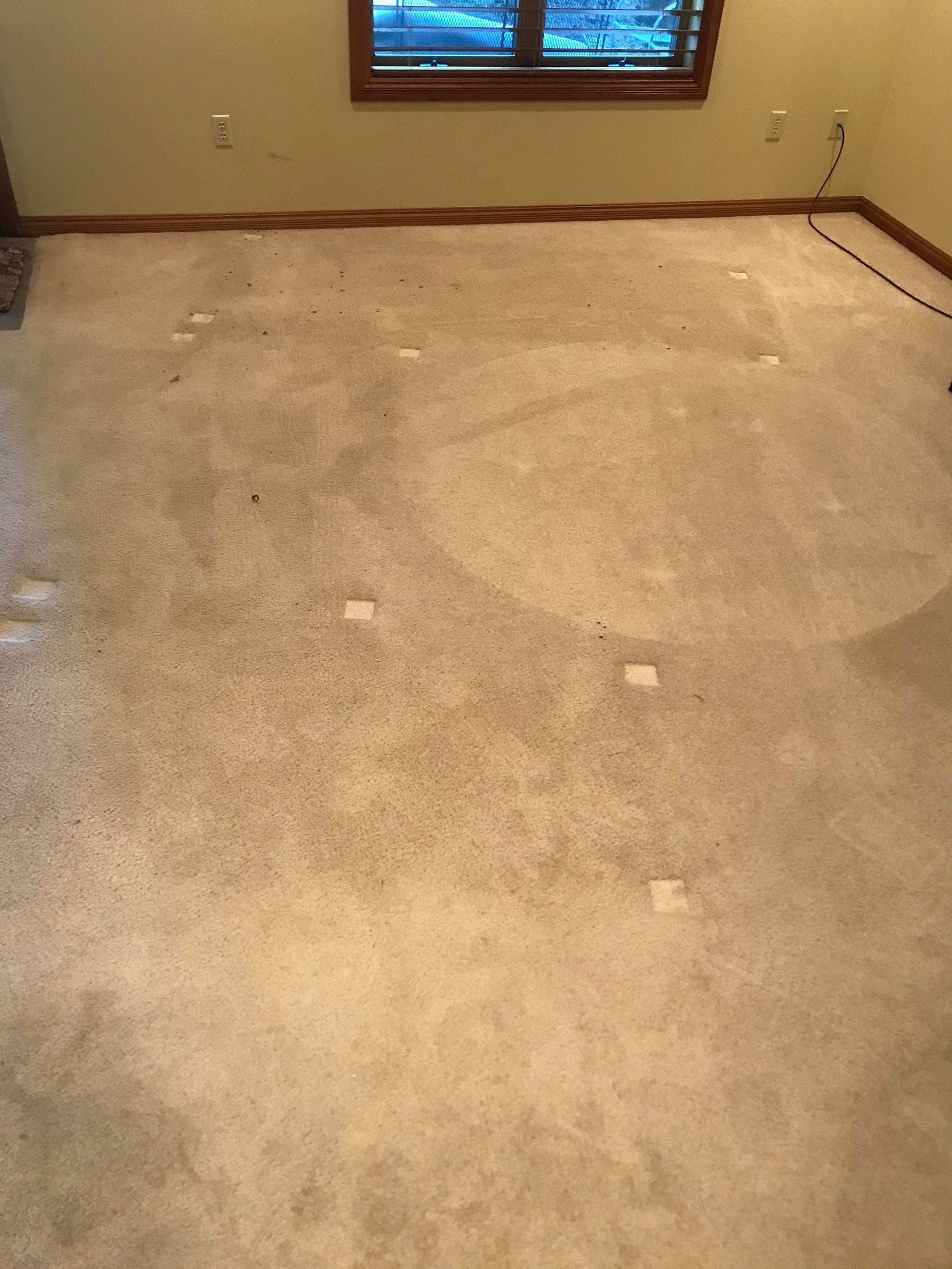 A room with a dirty carpet and a window.
