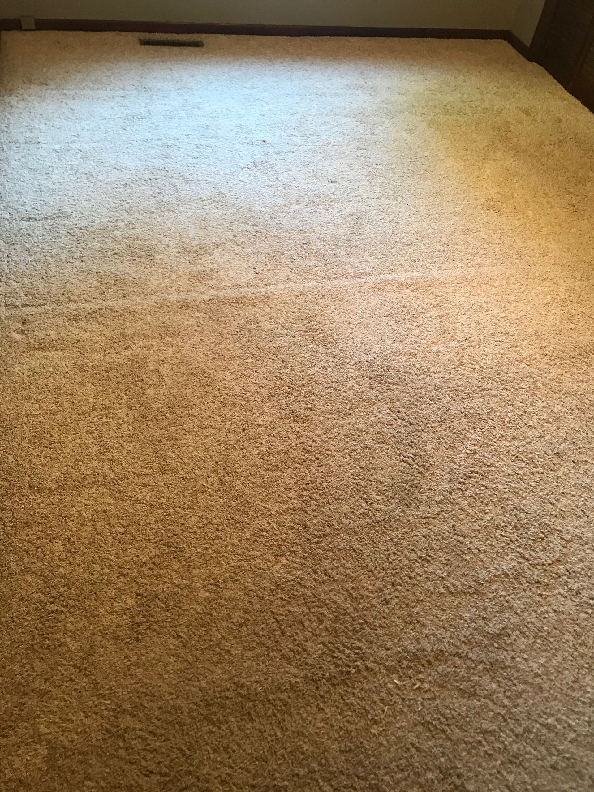 A close up of a carpeted floor in a room.