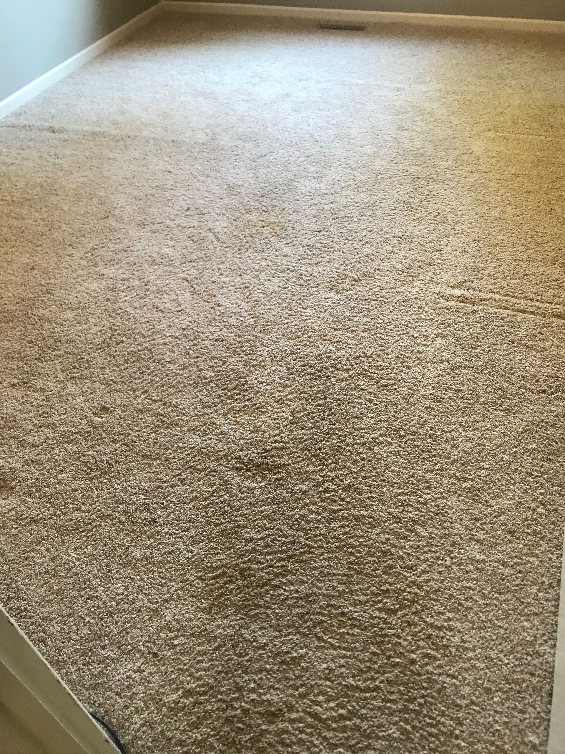 A room with a carpeted floor and a staircase.