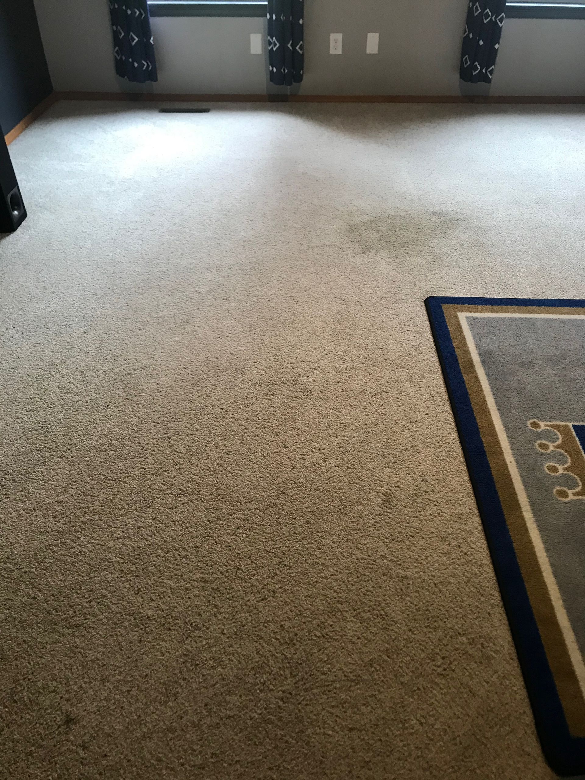A room with a rug on the floor and a carpeted floor
