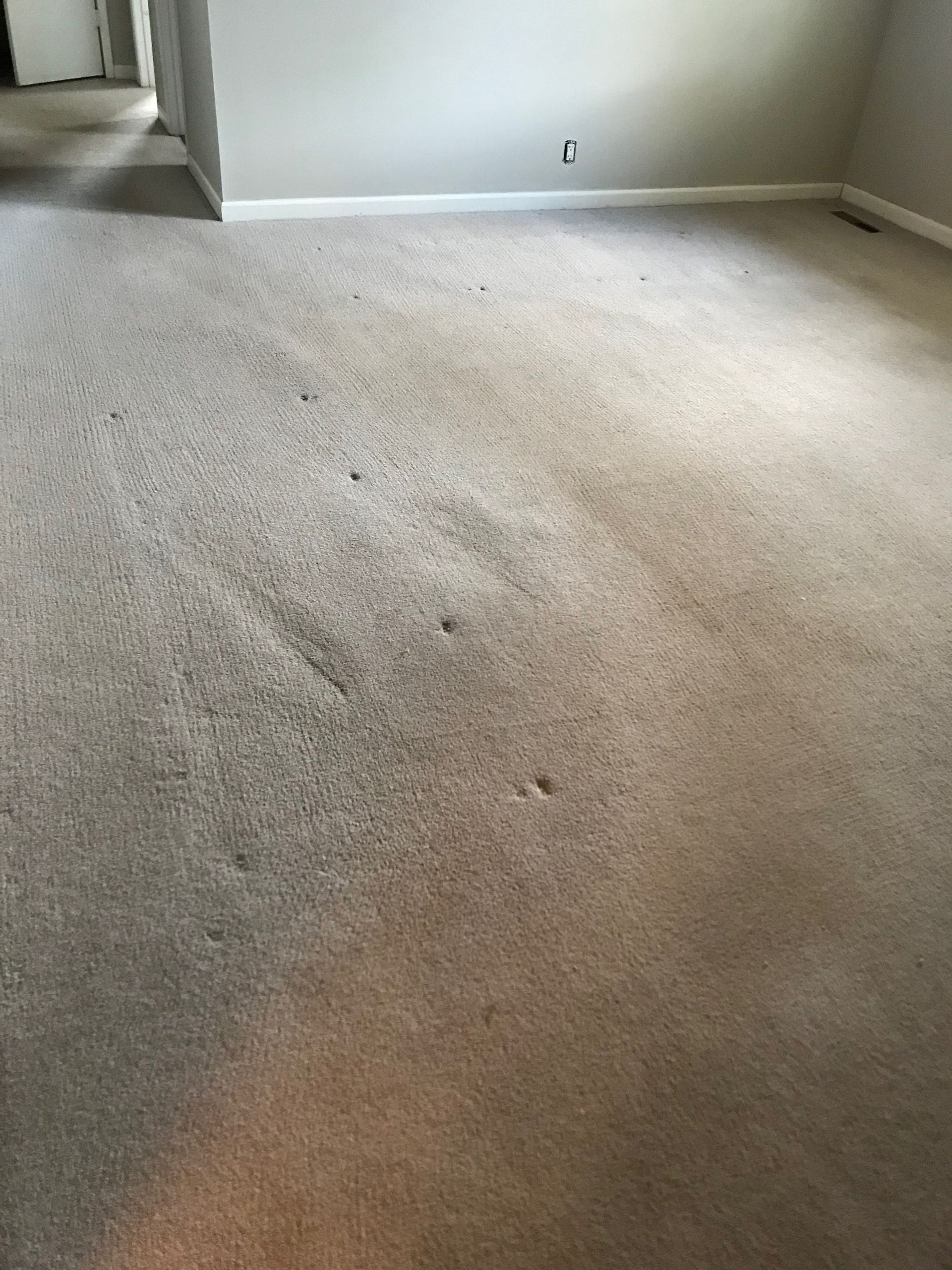 A room with a carpeted floor and a white wall.