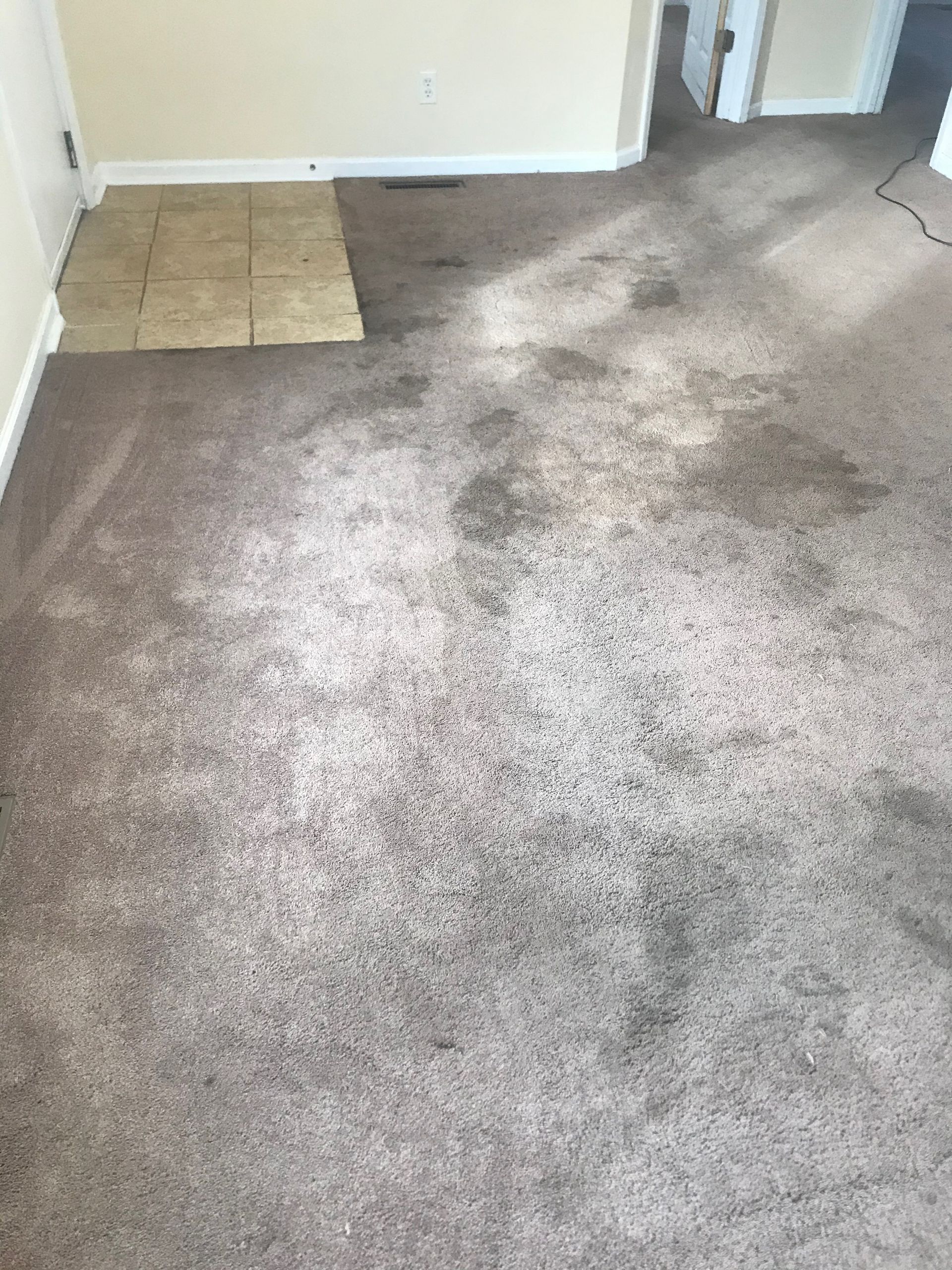 A dirty carpet in a living room with a tile floor.